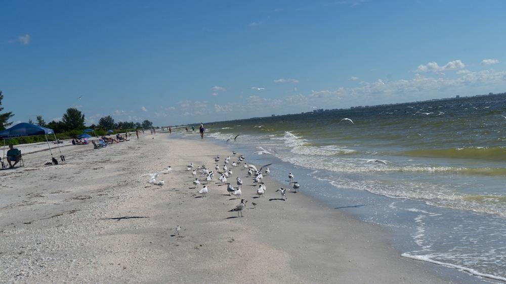 Gulf Breeze Cottages Sanibel Exteriér fotografie